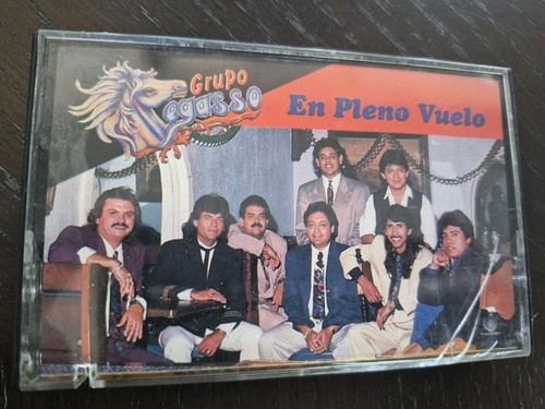 Pegaso grupo pleno - grupo, vuelo
